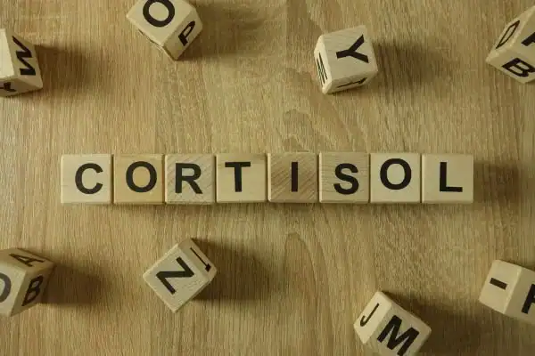 The Hidden Connection: How Stress Shapes Your Fitness and Body Composition 2 Image saying "Cortisol" and how stress Bradford impacts your wellbeing and bodies shape